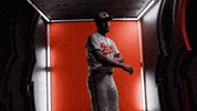 Major League Baseball Sport GIF by Baltimore Orioles