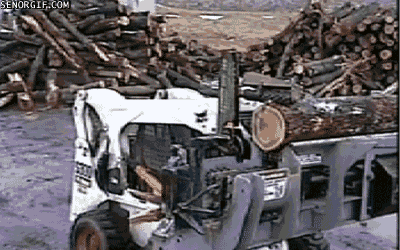 Man Vs Wild Wood GIF