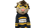 Oh No Face Palm Sticker by Waterloo Warriors
