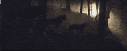 music video GIF