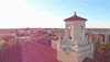 Javelinas GIF by Texas A&M University - Kingsville