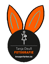 Fun Orange Sticker by Knusperfarben
