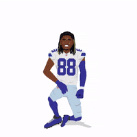 Dallas Cowboys Football GIF by Panini America