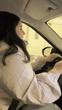 Driving France GIF