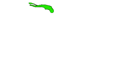 Nick Slime Sticker by Nickelodeon