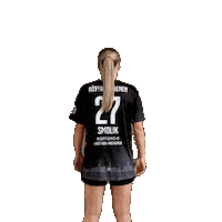 Hbf Frauenhandball Sticker by Roedertalbienen