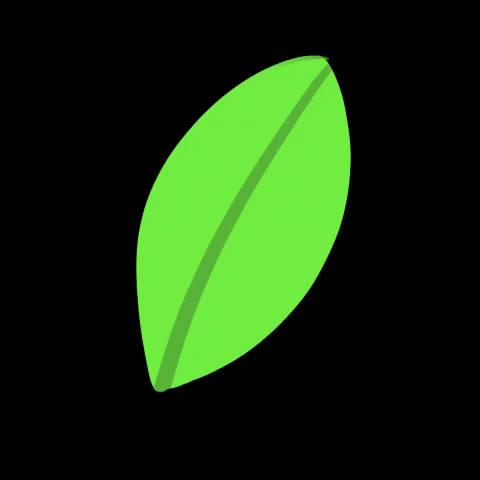 withloveseventeen green plant plants leaf GIF