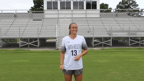 Wethebeach Virginiawesleyan GIF by VWU Marlins