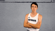 NevadaWolfPack wolfpack nevada xc crosscountry GIF
