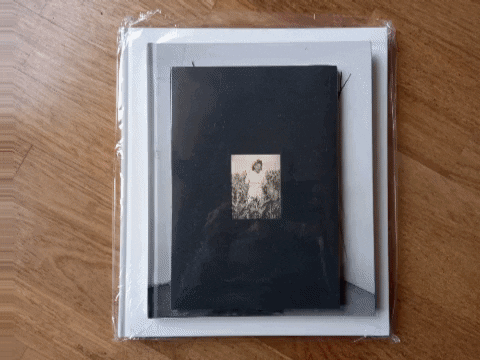 stevebisson giphygifmaker GIF