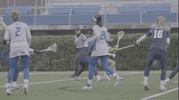 GIF by Delaware Blue Hens