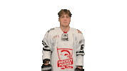 Hockeypunks Sticker by ledoritulys.lt