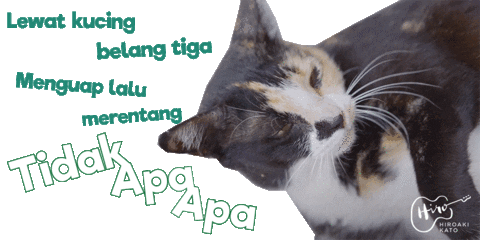 YoshimotoIndonesia giphyupload cat sleepy kucing Sticker