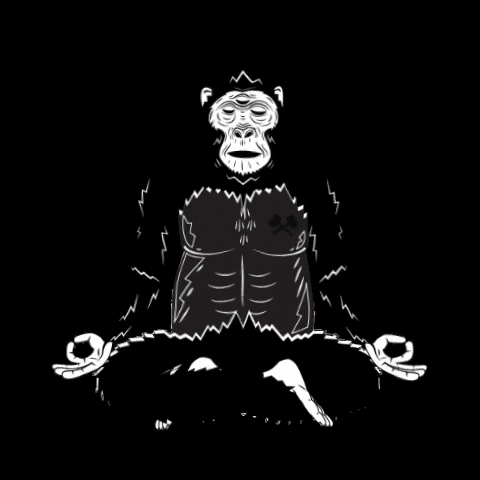 Meditation Om GIF by Wise Ape Tea