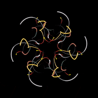 perfect loop mandala GIF by xodnnhm