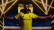 World Cup Club GIF by Major League Soccer