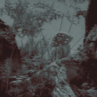 njorg reaction trip russia mushroom GIF