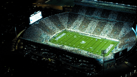 Msu Spartans GIF by Michigan State Football