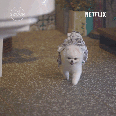 Korean Drama Dog GIF by The Swoon
