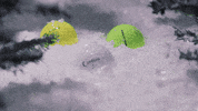 planetprotein  GIF