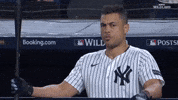 New York Yankees Sport GIF by MLB