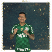 Soccer Futebol GIF by SE Palmeiras