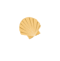 Scallop Shell Beach Sticker