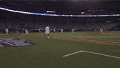 High Five Home Run GIF by Toronto Blue Jays