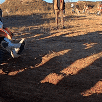 Limbo Send It GIF by Seat Time