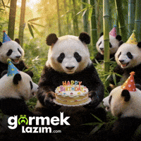 Happy Birthday GIF by Görmek Lazım