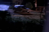 season 1 GIF by Twin Peaks on Showtime