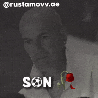 Son Zidane GIF