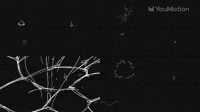 Abstract Scribble Animations Set