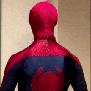 Chaddymoyes chad spooderman spiderman dumb retarded spiderman GIF