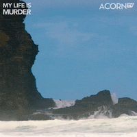 New Zealand Beach GIF by Acorn TV