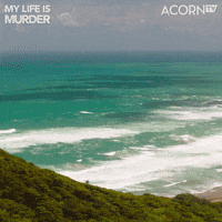 New Zealand Summer GIF by Acorn TV