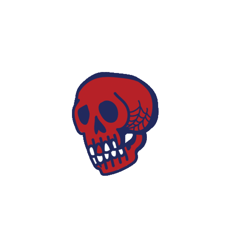 4Th Of July Skull Sticker by Taylor Reeve