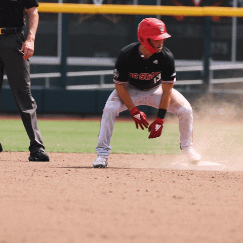 Baseball Hype GIF by NCAA Championships