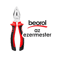Mester Sticker by Beorol