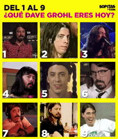 davegrohl_foofighters_meme GIF