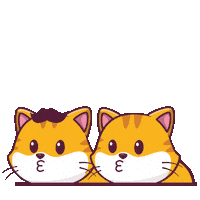 All The Best Wow Sticker by CATECOIN