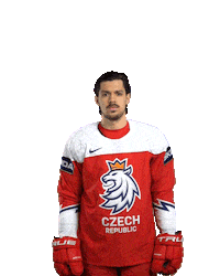 Ice Hockey Goal Sticker by International Ice Hockey Federation