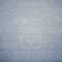 Brigham Young Byu Baseball GIF by BYU Cougars