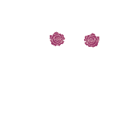 TheMexicanBeauty flowers latina roses latinx Sticker