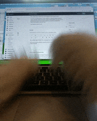 munjomunjo typing error pomeranian pom GIF