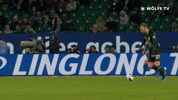 Soccer Bundesliga GIF by VfL Wolfsburg