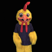 Pluckers celebration excited chicken happy dance GIF