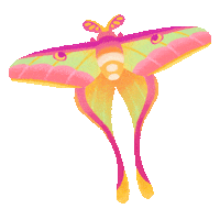 Question Mark What Sticker by pikaole