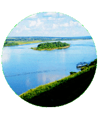 Визитроссия Sticker by kchr