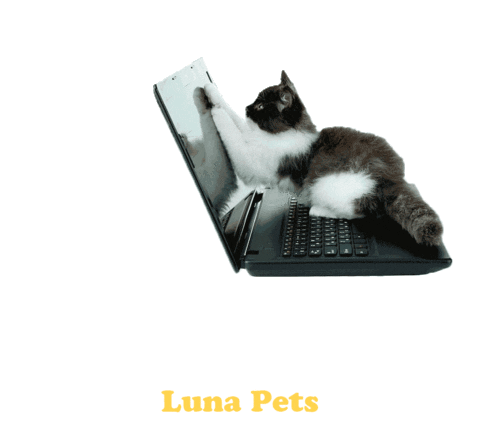 Cats May Sticker by Luna Pets